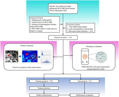 Machine learning models based on quantitative dynamic contrast-enhanced MRI parameters assess the expression levels of CD3+, CD4+, and CD8+ tumor-infiltrating lymphocytes in advanced gastric carcinoma